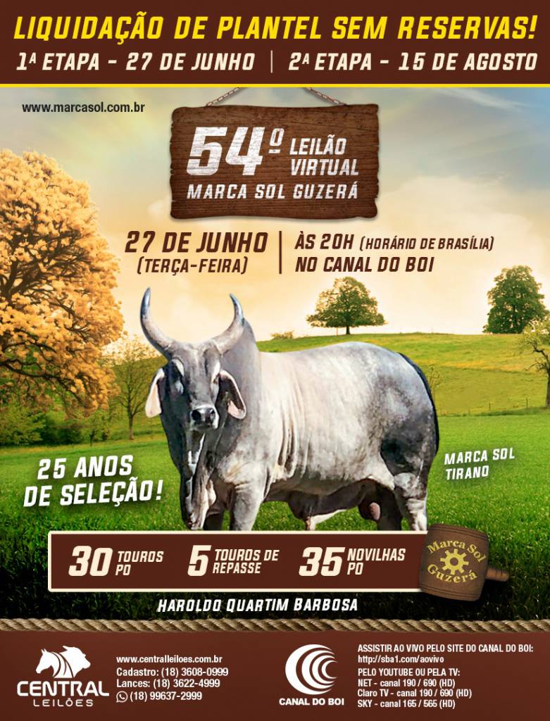 Sol marca discount